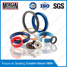 NBR / FKM / PTFE / Fab / EPDM Silikon Gummidichtung Ring